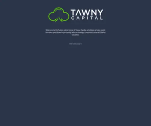 Pkconsulting.com(Tawny Capital) Screenshot