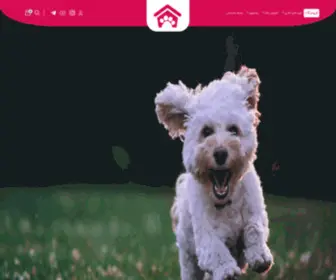 Pkpet-Shop.com(پت شاپ سگ و گربه) Screenshot