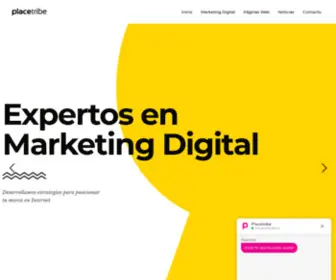 Placetribe.cl(Agencia de Marketing Digital) Screenshot