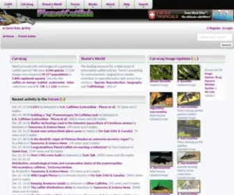 Planetcatfish.com(The Aquarium Catfishes website) Screenshot