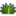 Plantas-Acuario.es Favicon