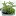 Plantas.ec Favicon