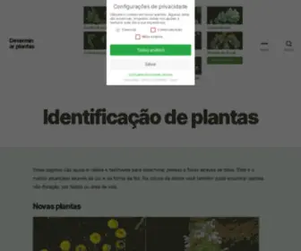 Plantasflores.net(Determinar plantas) Screenshot