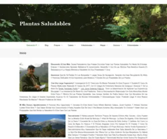 Plantassaludables.es(Plantas Saludables) Screenshot