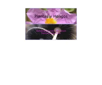 Plantasyhongos.es(Plantas y Hongos) Screenshot
