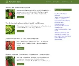 Plantcaretoday.com(Plant Care Today) Screenshot