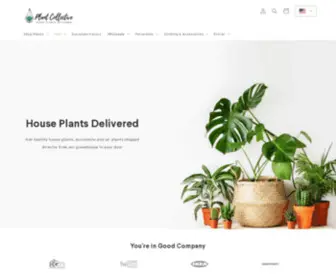 Plantcollective.co(Succulents, Mini Cactus, Air Plants & Terrariums) Screenshot
