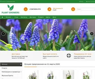 Plantgrowers.ru(Растения) Screenshot