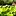 Plantsarefriends.com Favicon