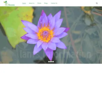 Plantsinformation.com(Plantsinformation) Screenshot