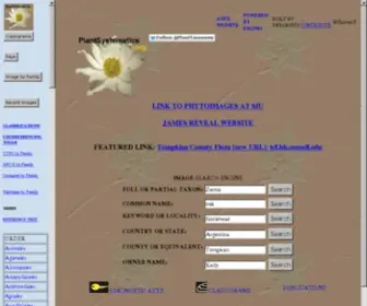 Plantsystematics.org(The Diversity of Life websites provide fast databased images) Screenshot