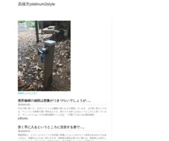 Platinum2STyle.jp(全国対応) Screenshot
