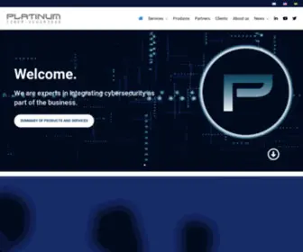 Platinumciber.com(Platinum ciberseguridad) Screenshot