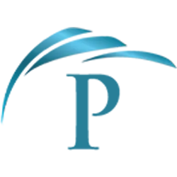 Platinumfinancinggroup.com Logo