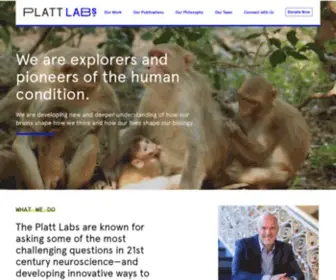 Plattlabs.rocks(Platt Labs) Screenshot