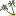 Playacommunity.com Favicon