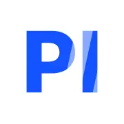 Playerok4.com Logo