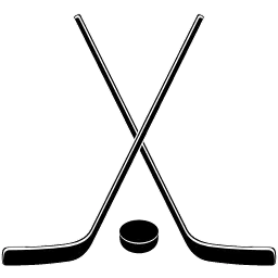 Playhockeyineurope.com Favicon