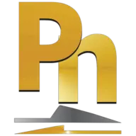Playnick.at Logo