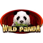 Playwildpandaslot.com Favicon