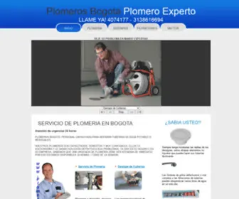 Plomeroexperto.com(Plomeros Bogota) Screenshot