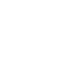 Plum-Design.net Logo