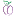 Plum-UK.com Favicon