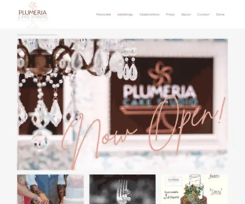 Plumeriacakes.com(Plumeria Cake Studio) Screenshot