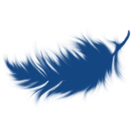 Plumex.net Favicon
