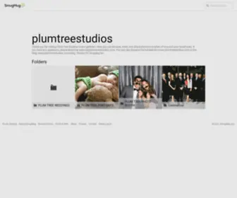 Plumtreephotos.com(Plumtreestudios) Screenshot