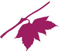 PMCcpa.ca Favicon