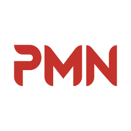 PMN.mx Favicon