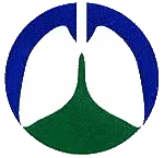 Pneumosfstefan.ro Logo