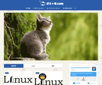 Pochaneko.com(ぽちゃ猫.com) Screenshot