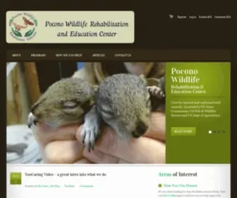 Poconowildlife.com(Pocono Wild Life Rehabilitation) Screenshot