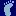 Podiatrym.com Favicon