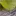 Podlasinandrzej.pl Favicon
