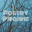 Poetryprairie.com Favicon