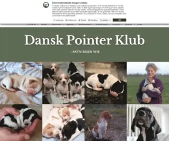 Pointerklub.dk(Pointer) Screenshot