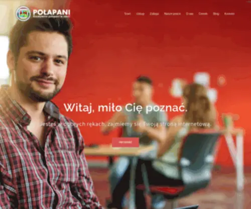 Polapani.pl(Wizytówki) Screenshot