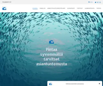 Polarsafety.fi(Polarsafety) Screenshot