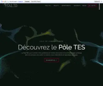 Pole-TES.com(Pôle) Screenshot