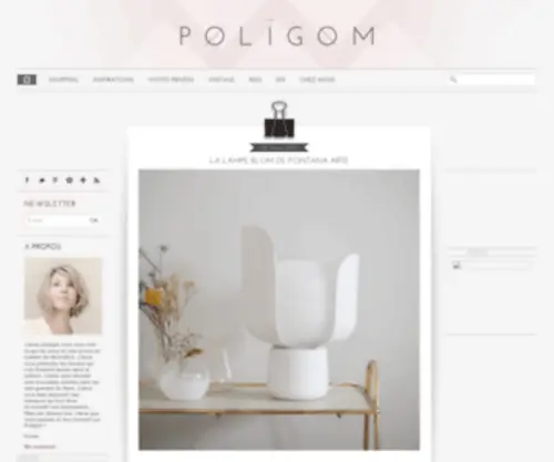 Poligom.com(Poligom) Screenshot