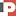 Polinova.pl Favicon