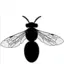 Pollinationpress.com Favicon