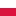 Polskij.ru Favicon