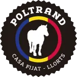 Poltrand.ad Favicon