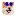 Polybabydoge.online Favicon