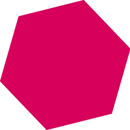 Polygone.ch Logo