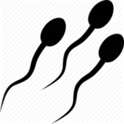 Polymaths-Lab.com Favicon